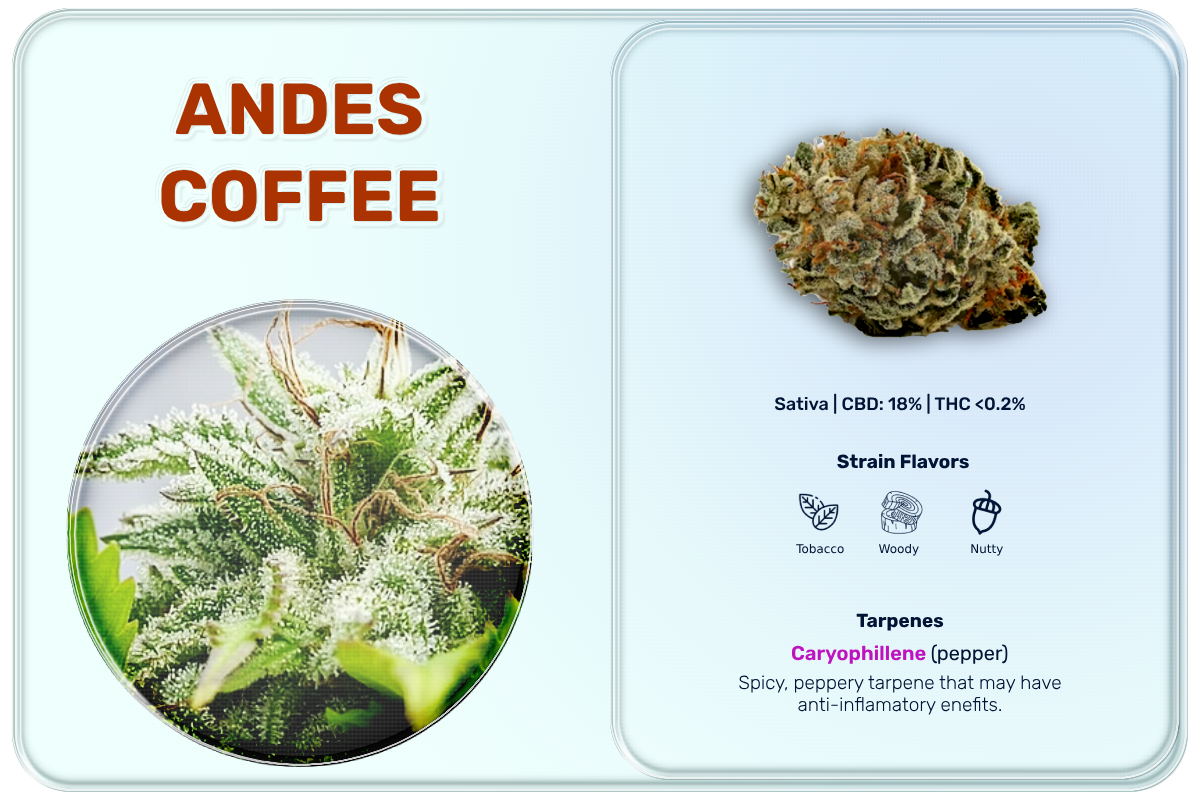 andes coffee