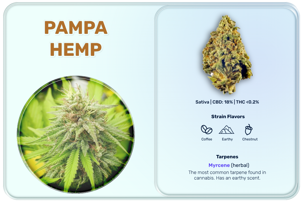 pampa_hemp
