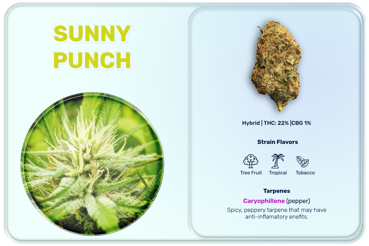sunny_punch